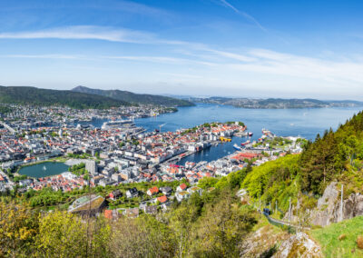 Ontwikkeling van habitats in Bergen